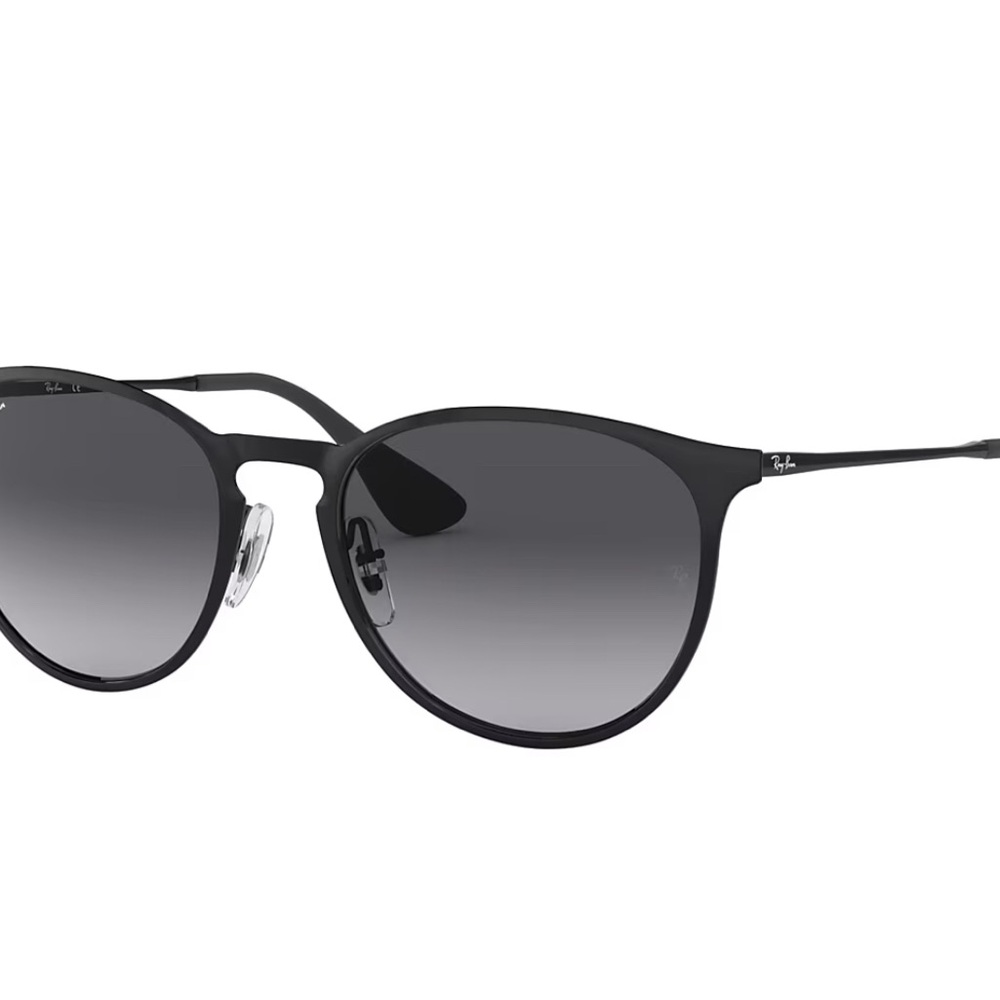Ray-Ban Erika Sunglasses
